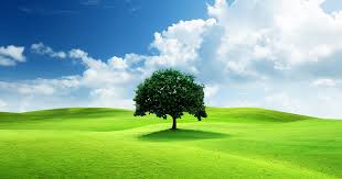 Admin test titre Bayti 02 'modifier'